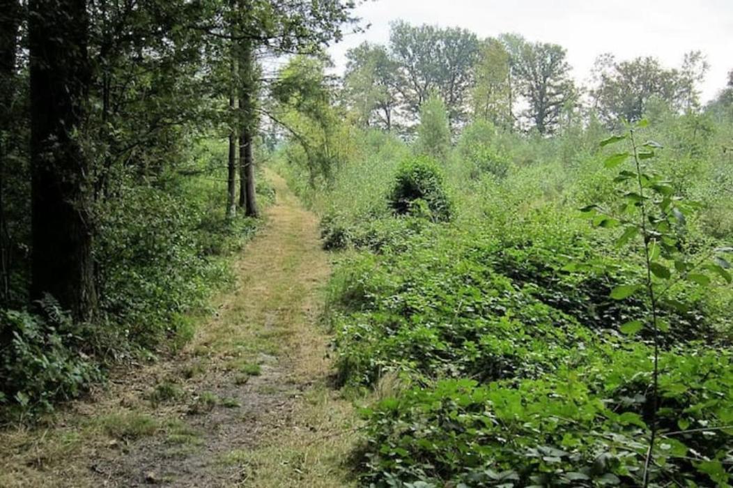 Apartamento Het Appense Veld Klarenbeek Exterior foto